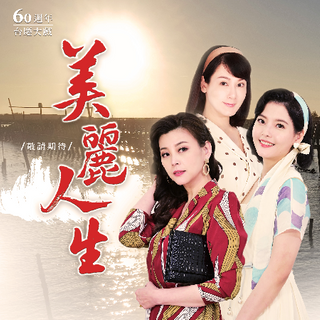 美麗人生臺(tái)版第245集