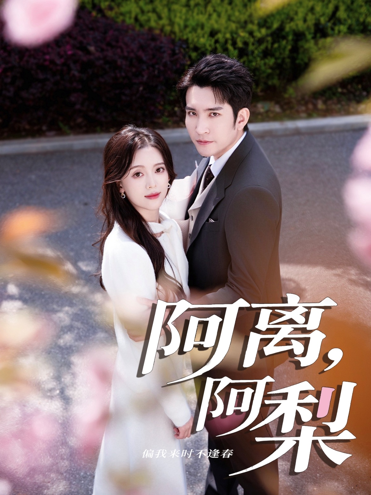 阿離阿梨(全集)